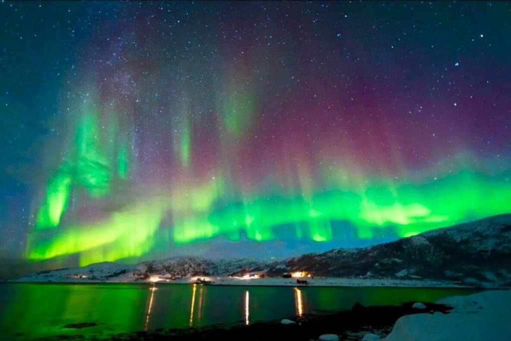 In The Heart Of The Aurora Borealis - Tromso City Tromsø Exterior foto
