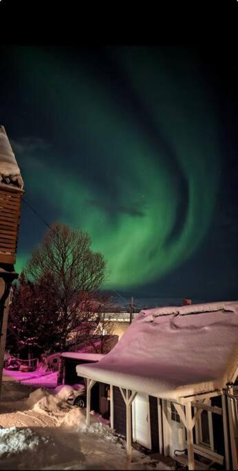 In The Heart Of The Aurora Borealis - Tromso City Tromsø Exterior foto